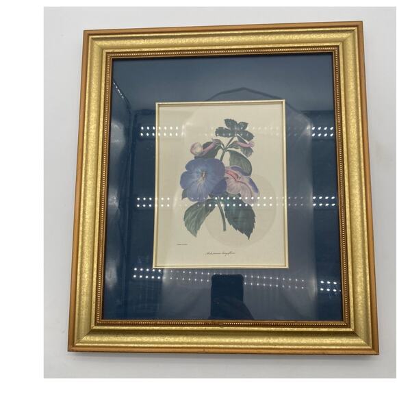 S. Holden Achimenes Longiflora signed Botanical Print 16" x14” glass floral Art - Picture 16 of 16
